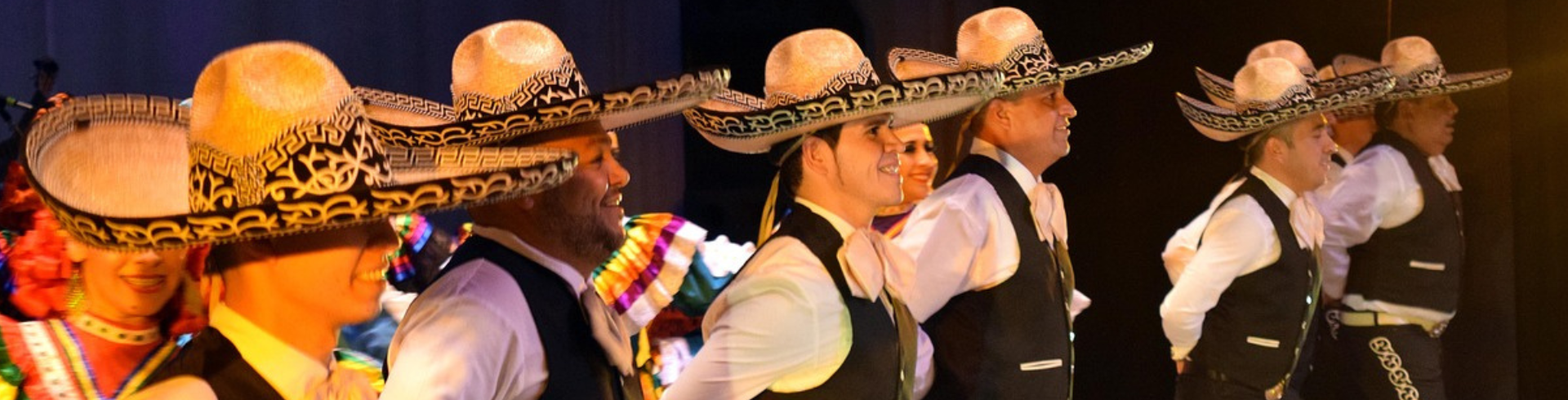 Encuentro-Internacional-de-Mariachi-Festival Tours