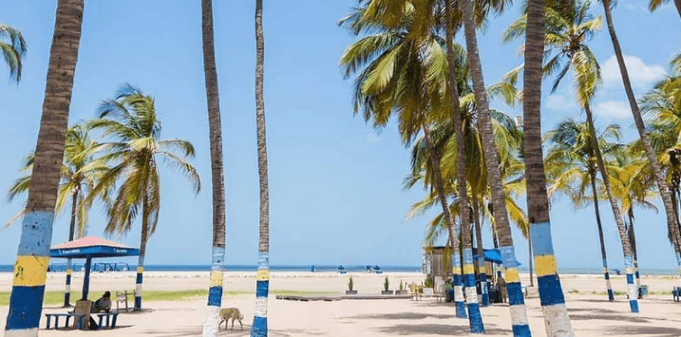 Guajira - Festival Tours