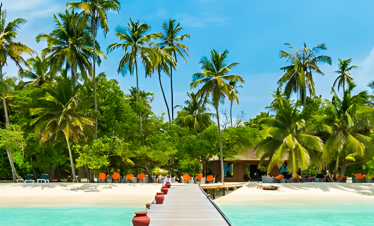 Punta-cana-Festival Tours