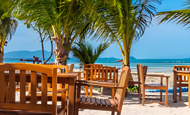 Punta-cana-Festival Tours