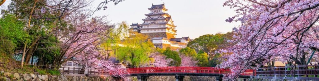 Japón - Festival Tours