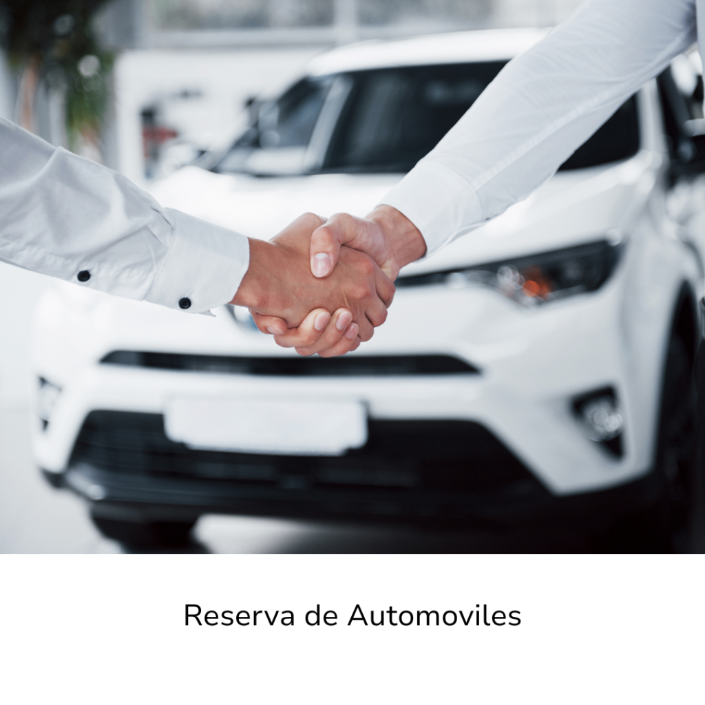 Cinco tesoros imperdibles (13)